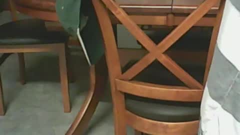 Snapshot of petesplace chatting on 23, 2, 2025 pete online show from 23, 2, 2025