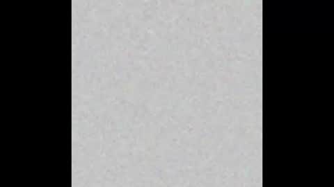 petitchat44 online show from 25, 3, 2026