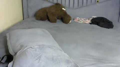 petite_byb online show from 10, 3, 2026