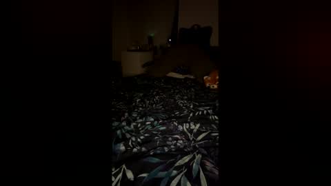 PetiteCurves online show from 12, 2, 2026