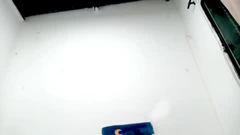 danna online show from 26, 11, 2025