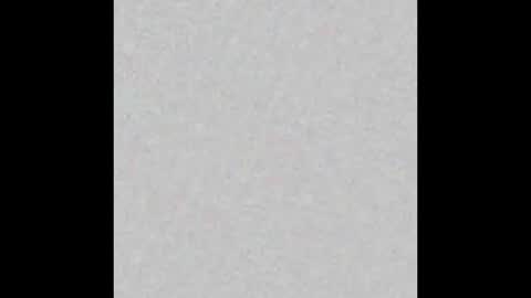 Fabi online show from 8, 3, 2026