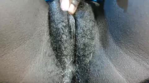 petiteme1 online show from 21, 1, 2025