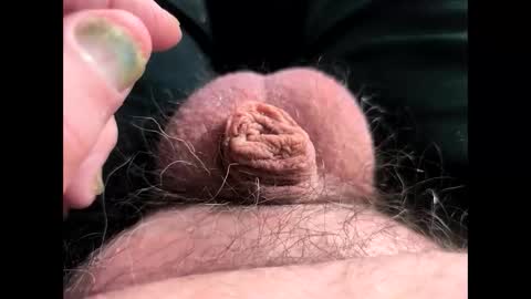 petrol63102 online show from 7, 3, 2026