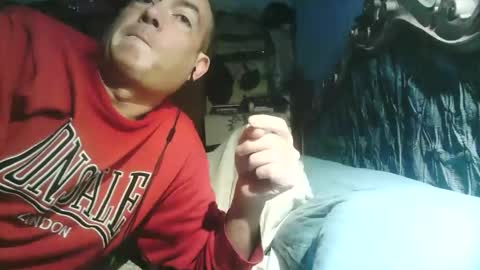 pets76 online show from 1, 3, 2026