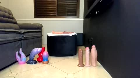 petsexboy online show from 2, 6, 2026