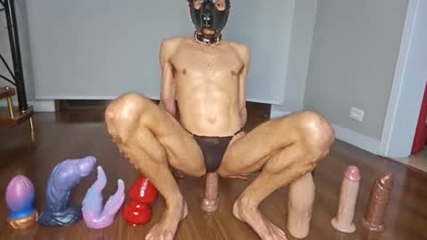 petsexboy online show from 10, 6, 2026