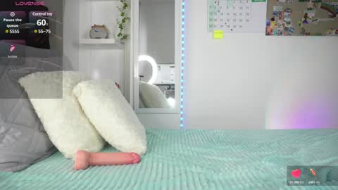 Pettercat online show from 30, 1, 2025