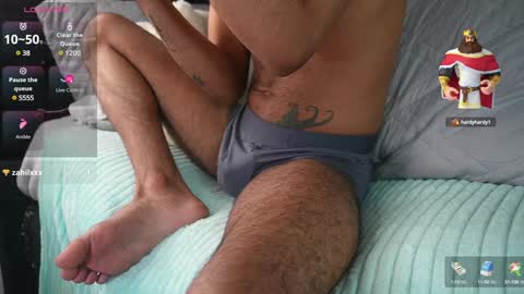 Pettercat online show from 2, 2, 2025