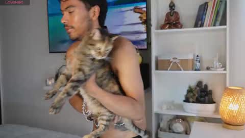 Pettercat online show from 6, 11, 2025