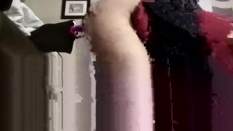 phillipdee online show from 13, 11, 2025