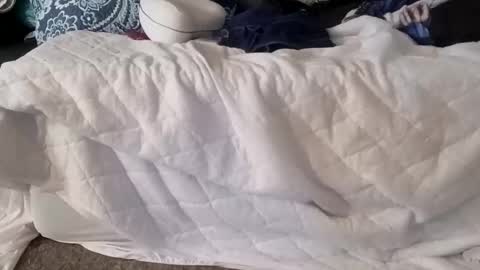 phillipdee online show from 7, 1, 2026