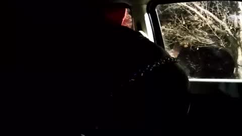 phillipdee online show from 1, 2, 2026