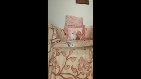 Snapshot of philos1979 chatting on 19, 1, 2026 philos1979 online show from 19, 1, 2026