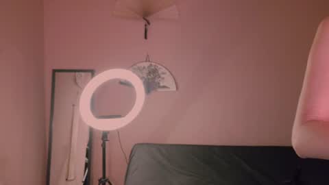 phoenixx_x online show from 26, 7, 2026