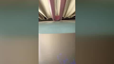 picklepuffs222 online show from 27, 4, 2026