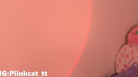 Snapshot of piinkcat chatting on 3, 12, 2025 Emi online show from 3, 12, 2025