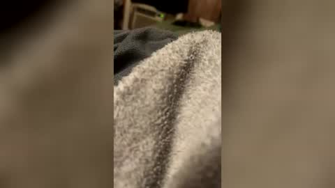 pimpdaddyscott online show from 21, 7, 2026