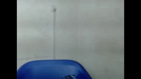 Snapshot of pinkxsugar chatting on 10, 9, 2025 pinkxsugar online show from 10, 9, 2025