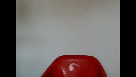 pinkxsugar online show from 21, 4, 2026