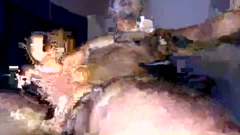 pirata_privado online show from 21, 7, 2026