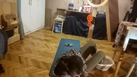 Dominik online show from 20, 12, 2025