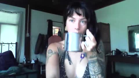 pixiecatfairy online show from 22, 11, 2025