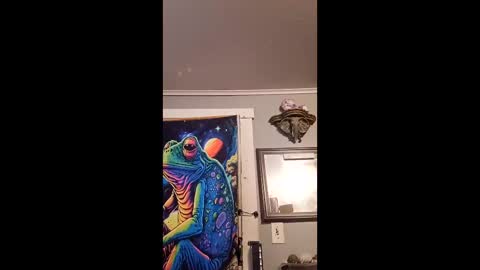 pizzedwife online show from 13, 2, 2026