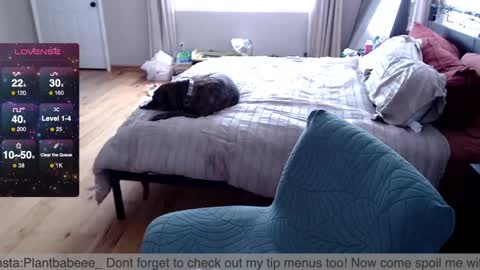 Plantbabeee online show from 26, 2, 2025