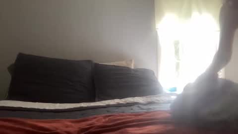 playfulpork online show from 17, 4, 2026