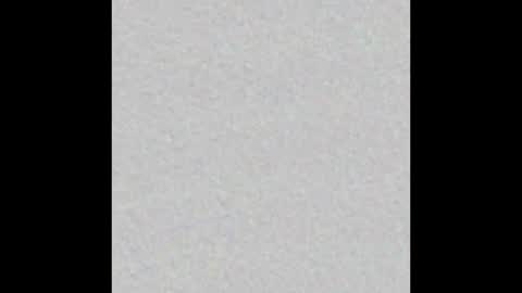 playtoy1969 online show from 20, 2, 2025