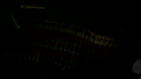 pleaseownme2 online show from 13, 9, 2025