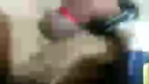 plug768785628 online show from 18, 7, 2026
