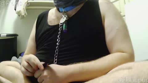 Snapshot of plugpup chatting on 21, 12, 2025 PlugPup online show from 21, 12, 2025