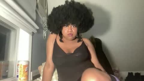 stariette online show from 6, 4, 2026