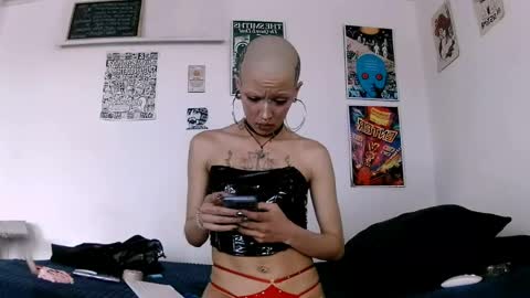    online show from 14, 5, 2026
