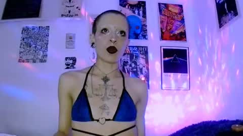    online show from 11, 6, 2026