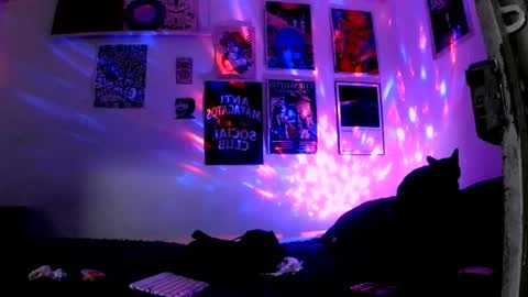    online show from 30, 6, 2026