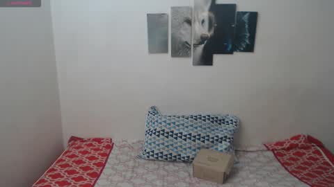 Snapshot of pocahontas_princess__ chatting on 9, 2, 2026 Pocahontas online show from 9, 2, 2026