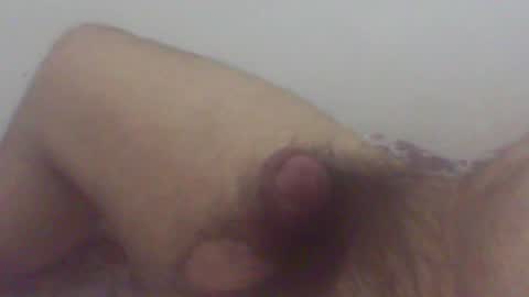 pol2023 online show from 1, 1, 2025