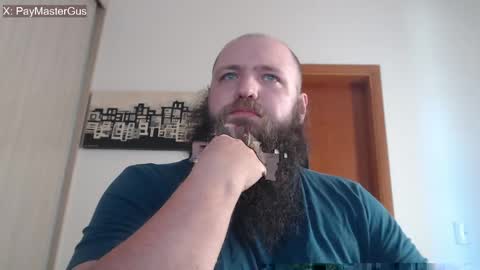 Bear online show from 26, 4, 2026