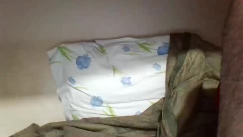 pollaa_19 online show from 18, 5, 2026