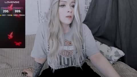 Polly online show from 22, 5, 2026