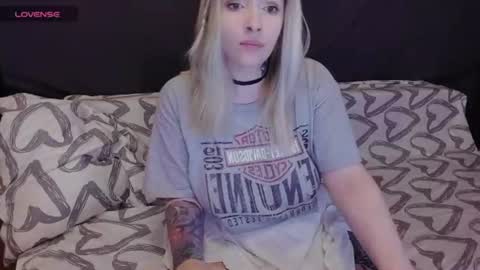 Polly online show from 7, 7, 2026