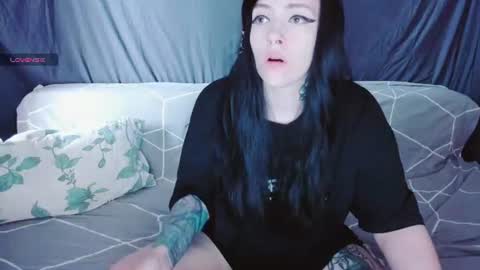 Polly online show from 14, 7, 2026
