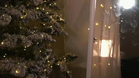    online show from 26, 12, 2024