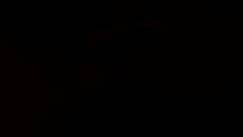 possumborne1 online show from 2, 8, 2026