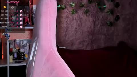 Robyn online show from 25, 6, 2026