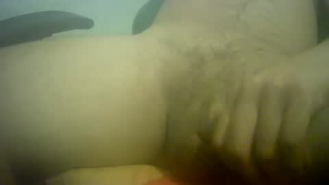 poyarrecha online show from 28, 7, 2026
