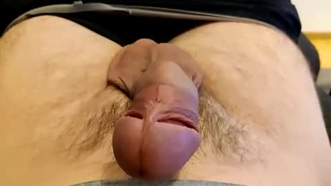 precummilker online show from 13, 12, 2024